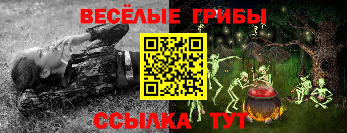 Псилоцибиновые грибы Psilocybe Саранск