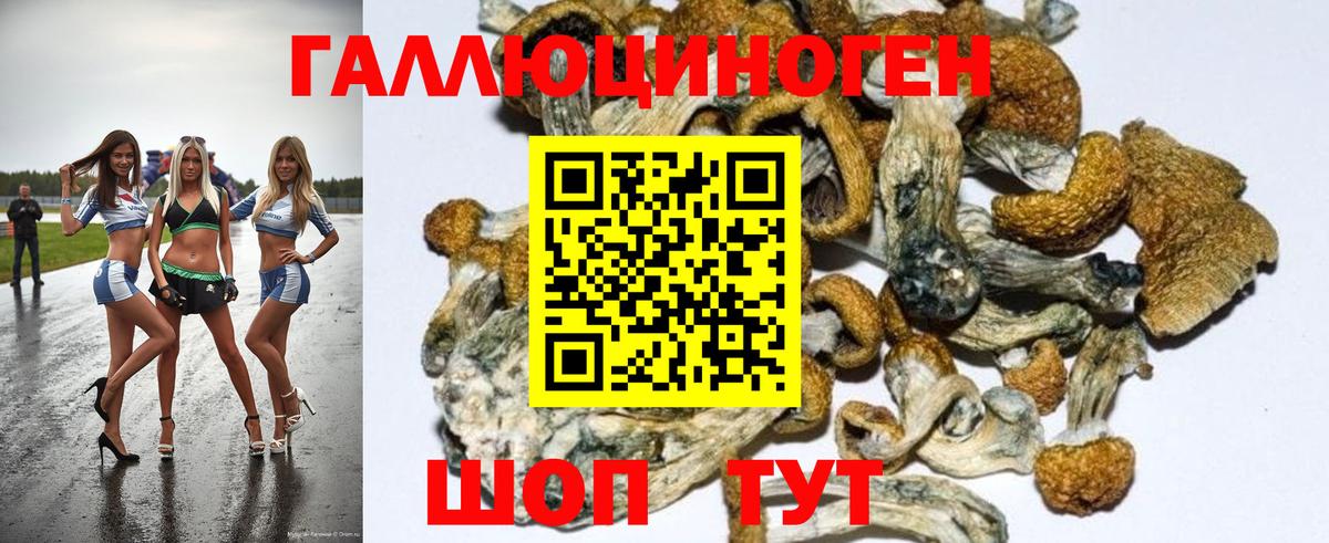 Кодеин  Метамфетамин  Вход с VPN  COCAIN  ЭКСТАЗИ  Каннабис  ГАШ  Саранск  Меф МЯУ МЯУ   LSD-25 