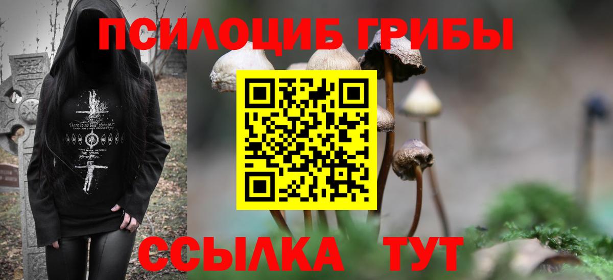 Псилоцибиновые грибы Cubensis  Галлюциногенные грибы Magic Shrooms  Вход с VPN  Саранск 